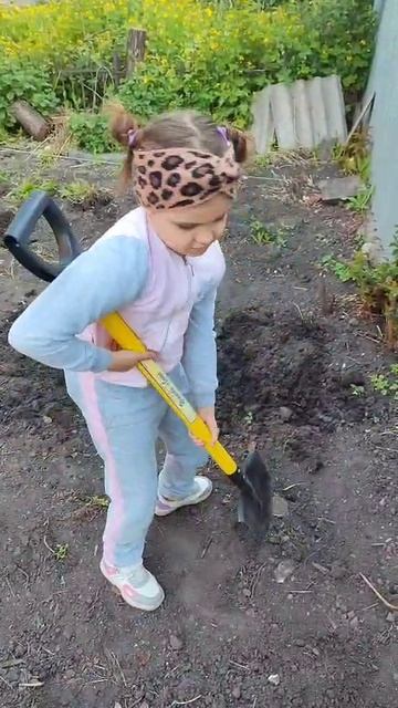 VID-20250526-WA0011.mp4