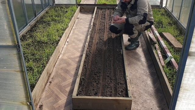 Готовим ранний урожай - заряжаем теплицу!