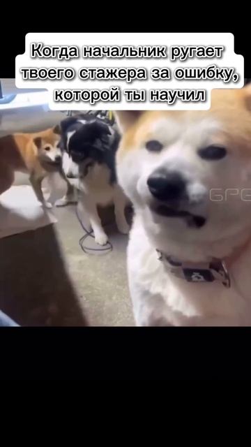 Ой..