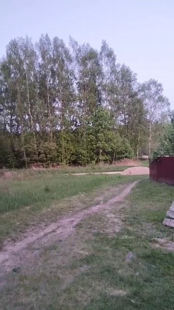 Лягушачий 🐸 концерт 😂