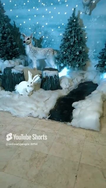 #shortsКРАСОТА И ТОЛЬКО #shorts