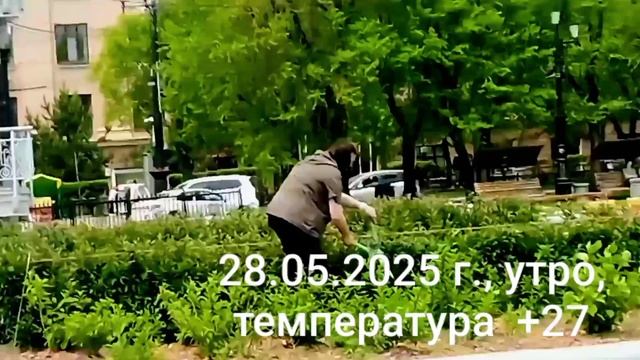Немного тепла и позитива с Дальнего Востока ☀️🌺🍀