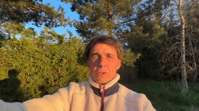 Стих 263. Давайте Алёшу в Россию вернём!