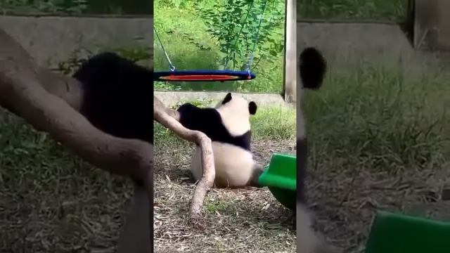 Если долго мучиться, что-нибудь получится!
