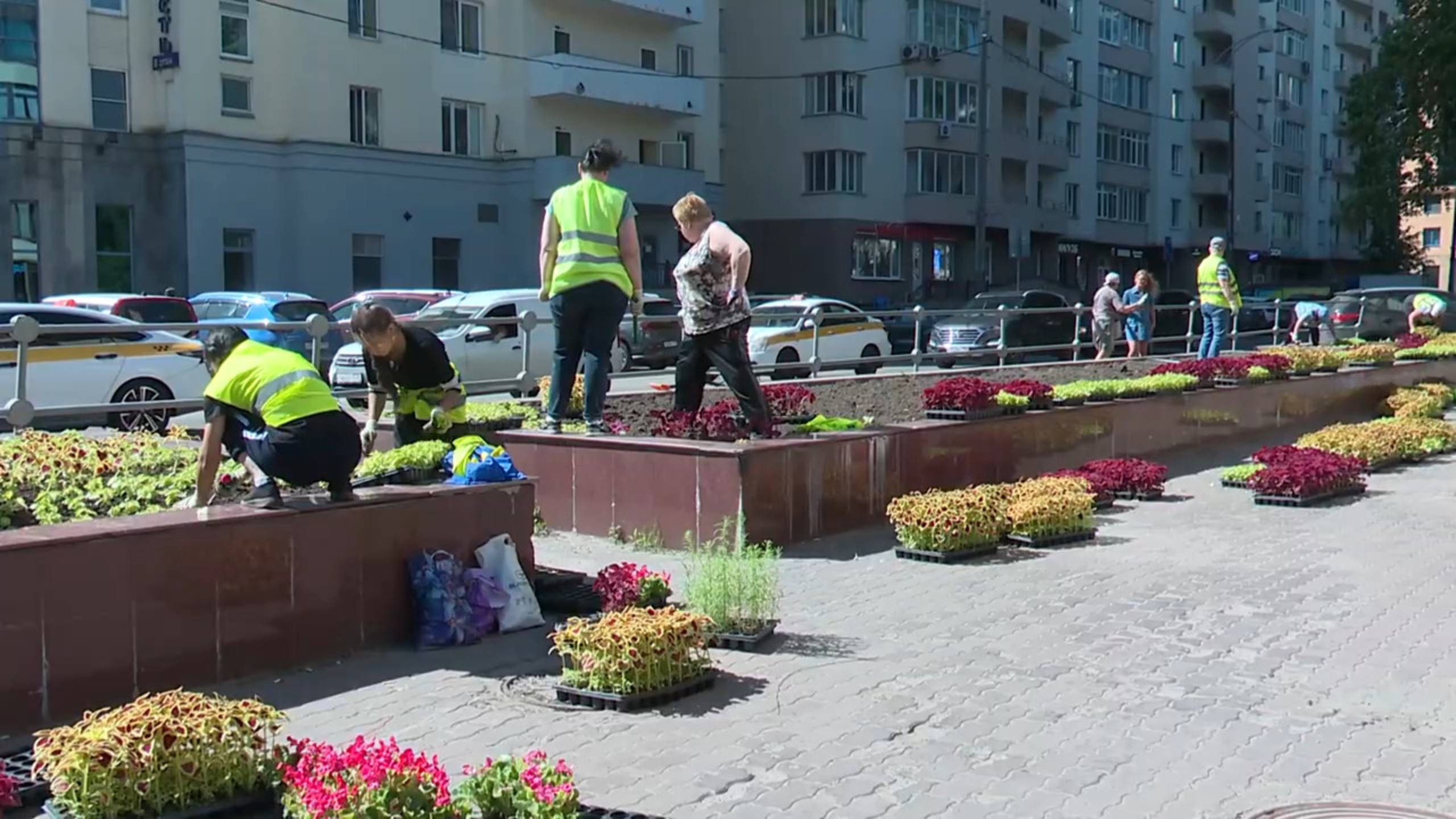 В Реутове высадят около 45 тысяч однолетних растений 28.05.2025