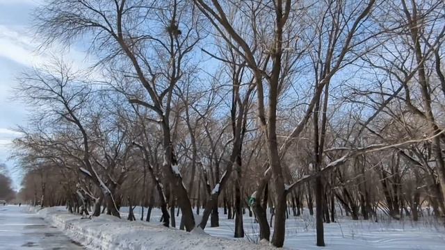 Я купил жене цветы с распродажи, – хвастался муж колле