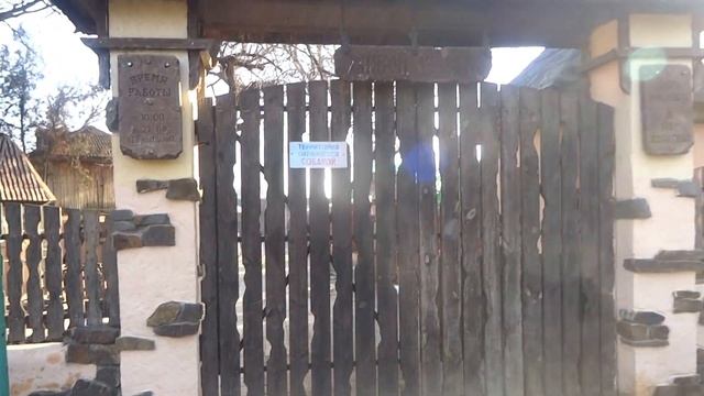 Живой уголок в парке