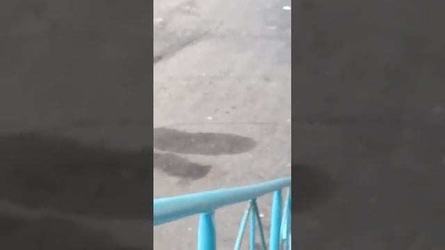 Мишка в городе. Присутствует мат!
