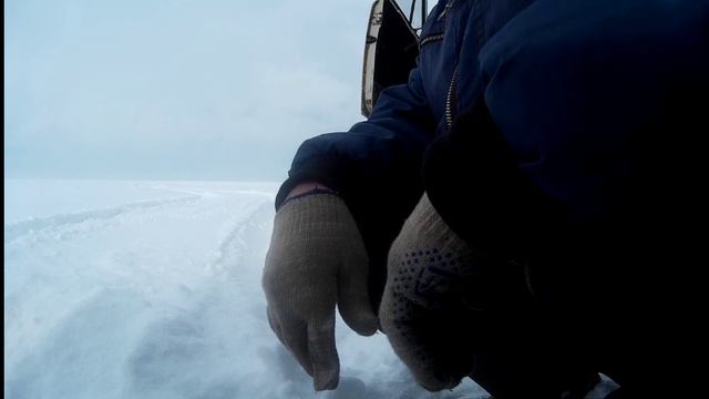 Любопытный рыбак