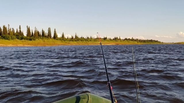 «И немного о печорских просторах. Песенная зарисовка».