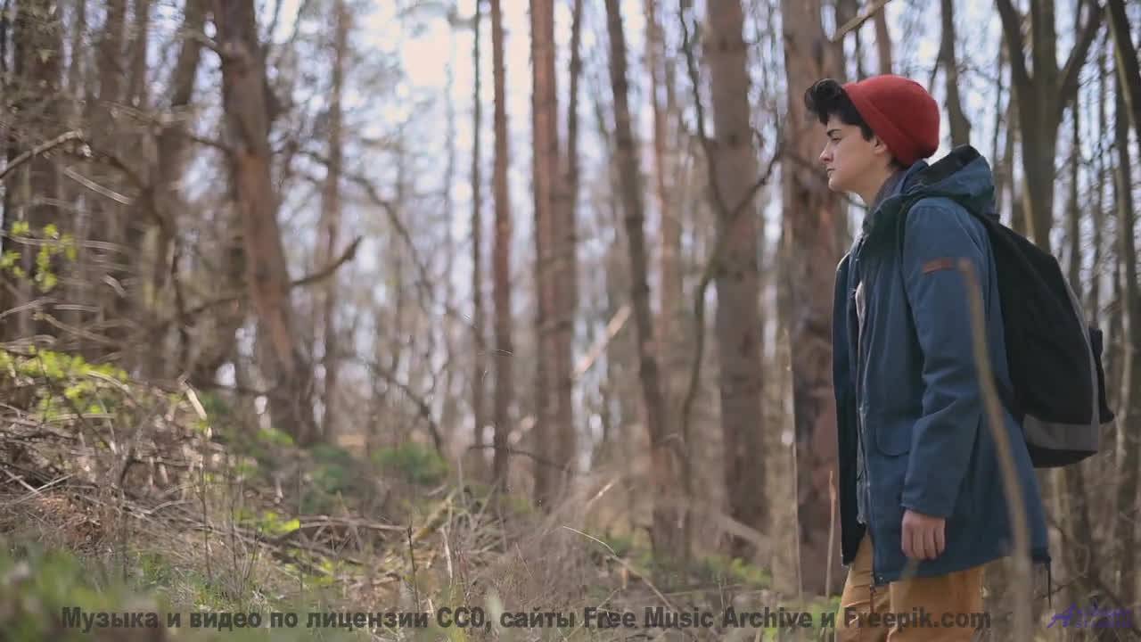 Река, которая ведёт в другое время! - I Need Love -- PLANET WARDO -- Single Slices