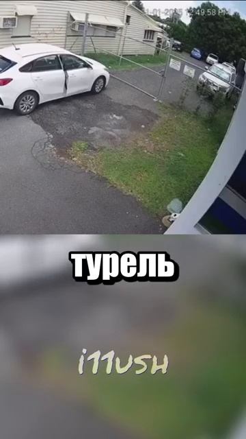 i11ushenka (1025)