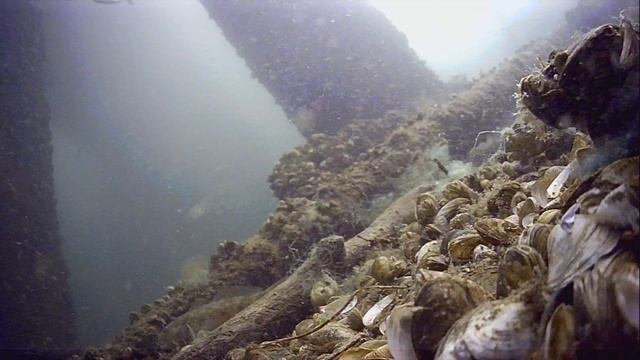 1000043658.mp4Волга гл.5м.28.05.2025г.