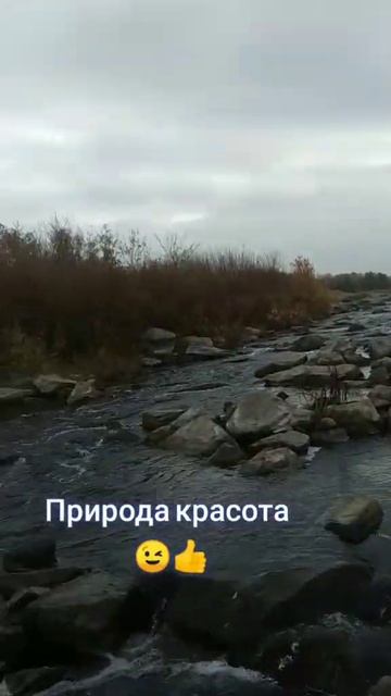 Природа просто Кайф #рыбалка #рыбак #youtuber #музыка #music #fi