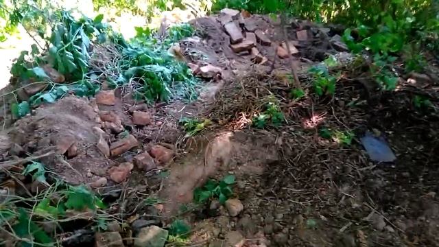 Коп металла в лесу. Старинные находки.  Metal cop in the forest. Ancient finds.