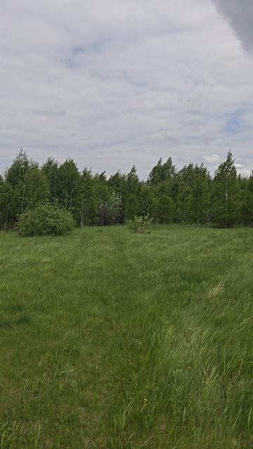 д.Круглое, земельные участки