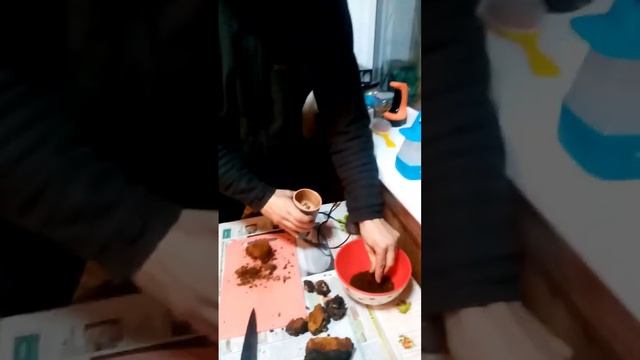 Приготовление напитка из чаги