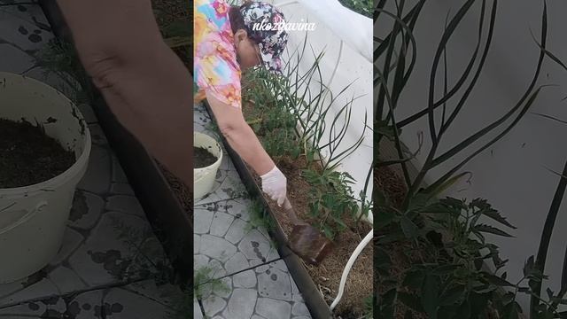 Навоз в огороде больше не нужен