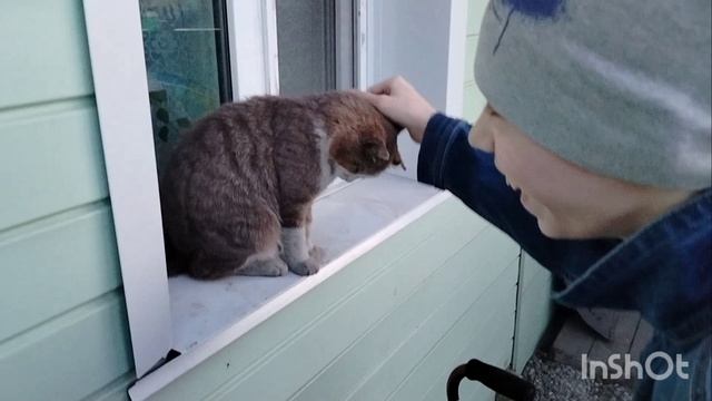 Влог. Видео, снятое в разные дни.