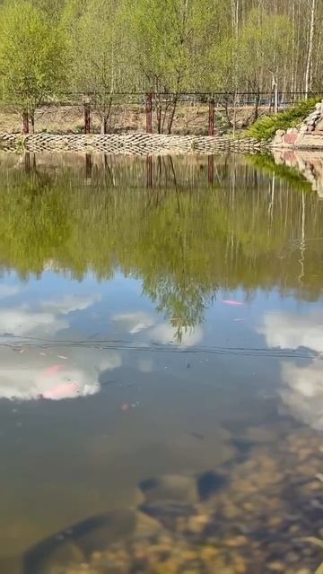 🐠✨ Загляните в сказку "Берег Песочной"!✨🐠