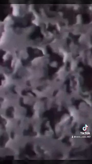 #валера_макаров067