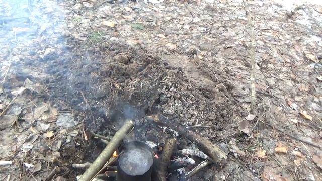 18. 3. 25 Лес. Чай.