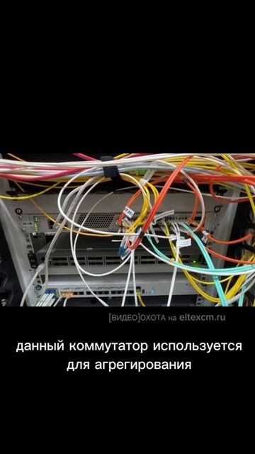 Коммутатор ЦОД MES5324 Eltex. Видео[Охота] на eltexcm.ru