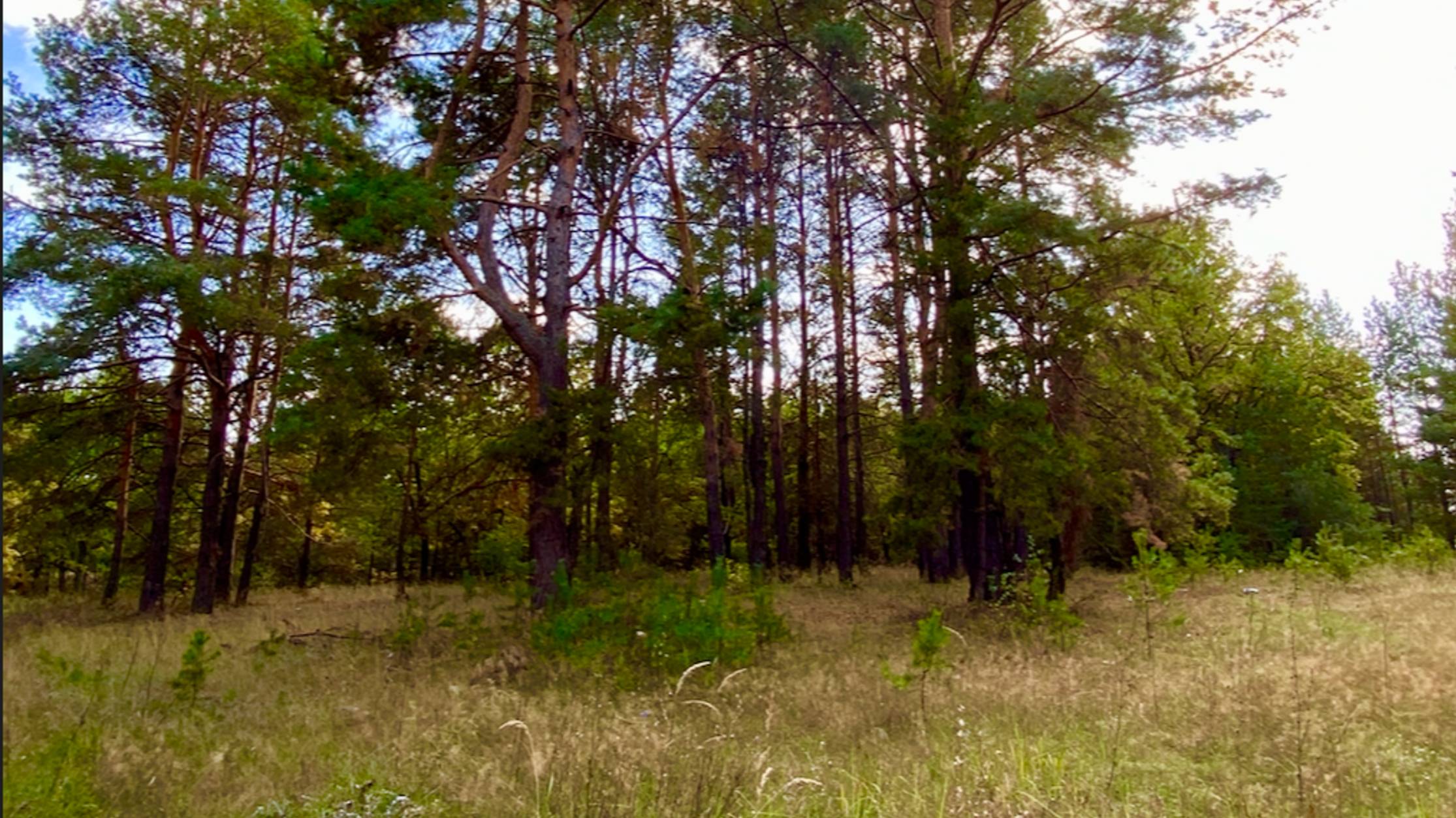 2024 Место отдыха в 90 е. 28 лет спустя| 2024