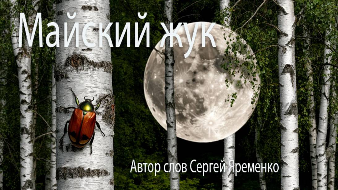 Романтическая песня "Майский жук". Автор слов Сергей Яременко, исполняет Sunu Ai