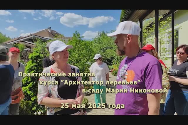 Архитекторы деревьев у Марии Никоновой