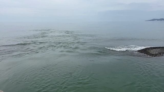 МАРТ В СОЧИ🌸СЕКРЕТНАЯ НАБЕРЕЖНАЯ СОЧИ😎ВЕСНА🌷