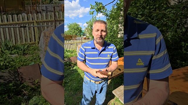 25.05.25г.Домодедово.В гостях у Дмитрия Бойкова. Снято и смонтировано на  Vivo X200 ultra.