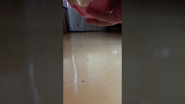 Шар Лол из фольги! Обожаю шары лол.😍