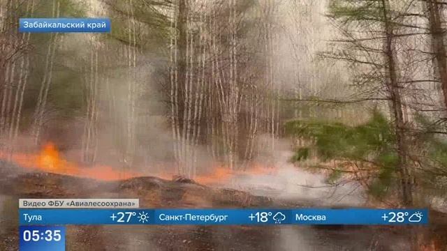 Первый канал # Новости Природные пожары в Забайкалье