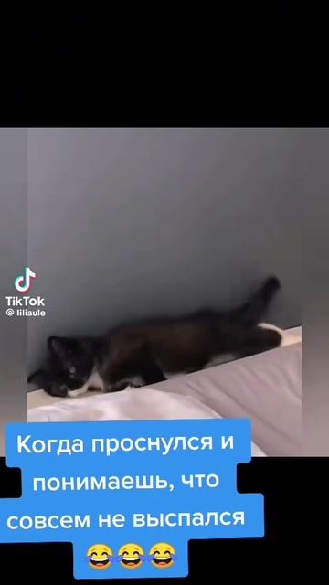 1000098606.mp4