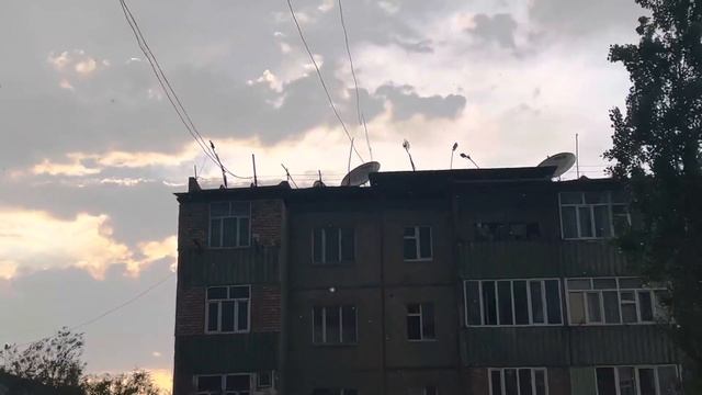Мои огурцы  на подоконнике и один дождливый вечер