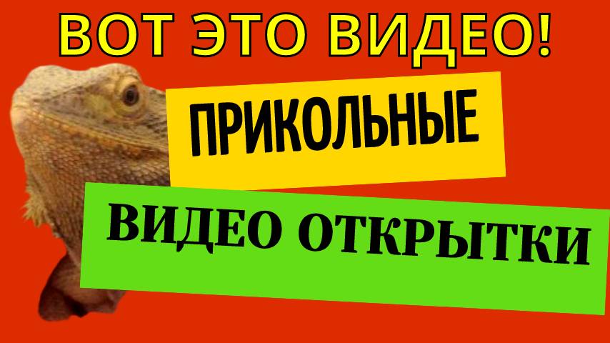 Прикольные видео открытки
