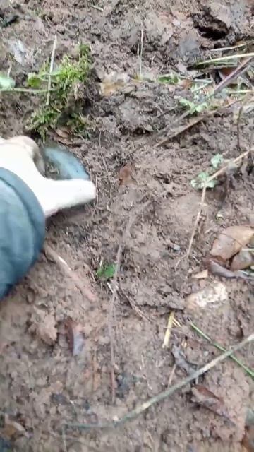 Бутылочка 19 века из-под минеральной воды.