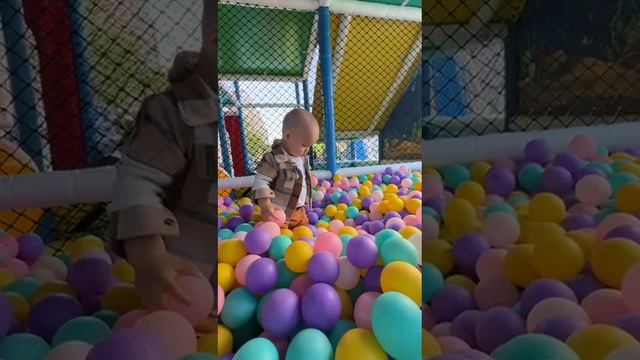 VID-20250423-WA0065