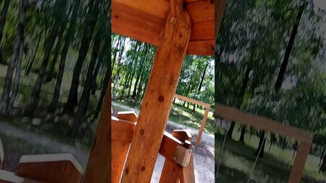 1000001301.mp4