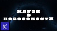 МЯУЗИ В НЕВЕСОМОСТИ