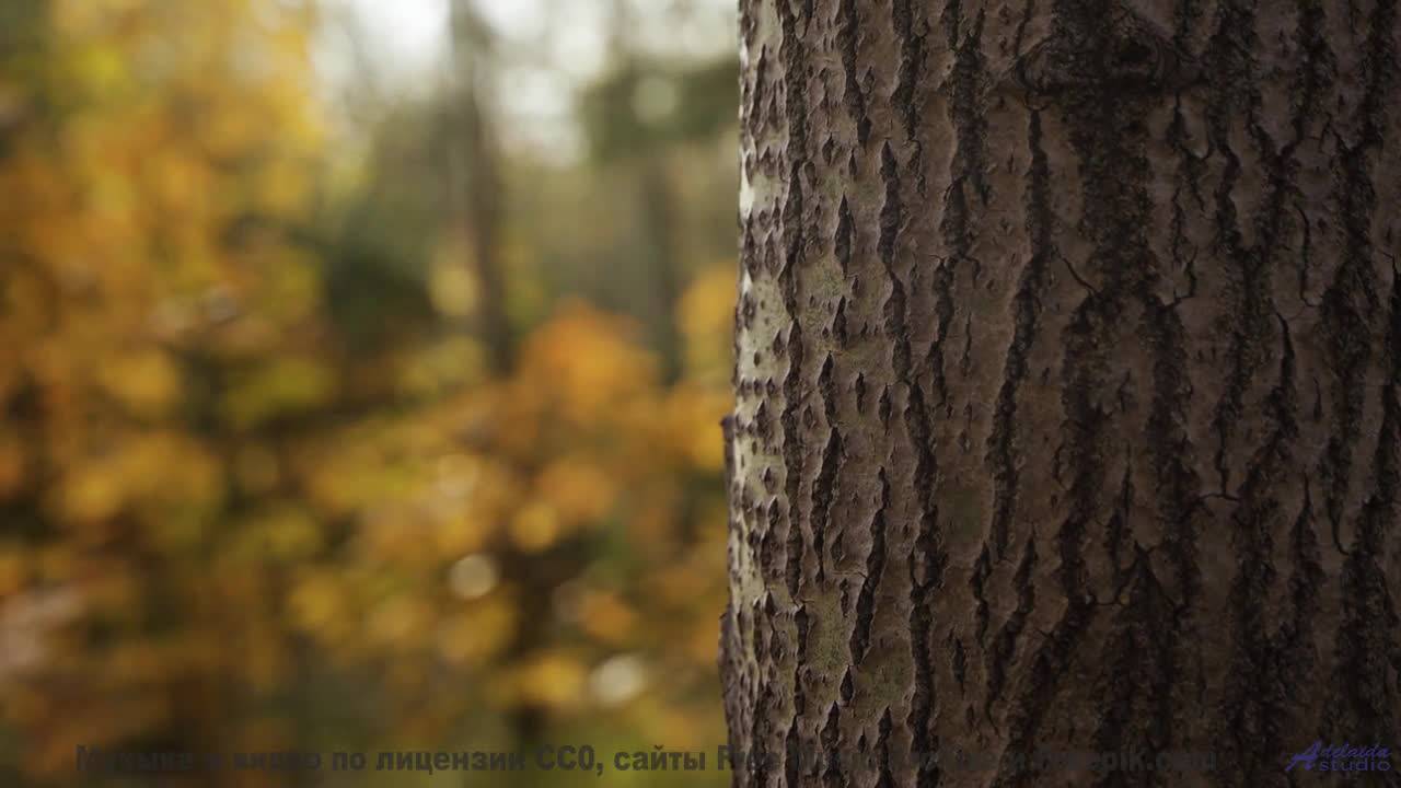 Ты будешь пересматривать его в самые трудные моменты! - Sparkwood + 21 -- Nihilore -- Broken Parts