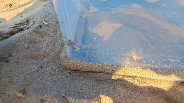 ВЛОГ Мой День 11 | На море ВСЕ вместе