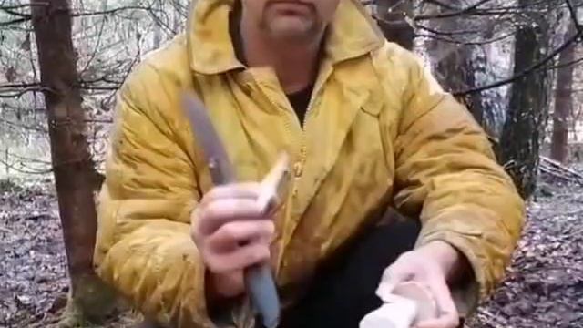 Белый гриб или боровик.