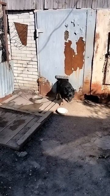 Не аленький цветочек, но всё же!