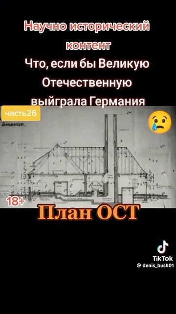 план ОСТ