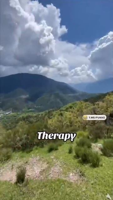 Сногсшибательный вид😄