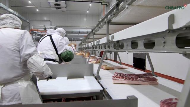 Запуск_технологического_оборудования_цеха_обвалки_СИБАГРО