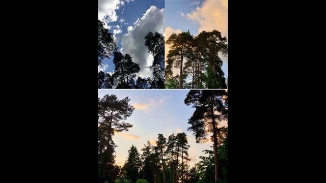 Нет у неба струн, нет гитары. Надежда солнцем взойдет. Энергично