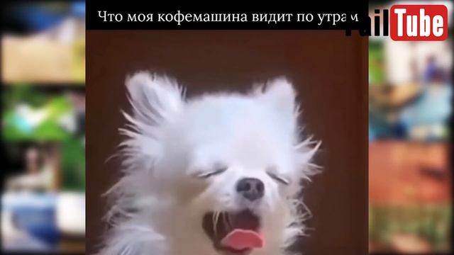 Приколы для взрослых Лучшие приколы 2024 Час Приколов С?